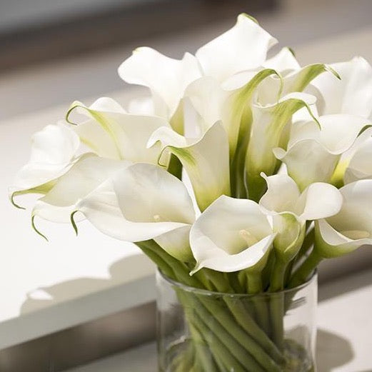 white calla lilies in glass column vase Calla Lily Stems in Glass 12"H – New Growth Designs