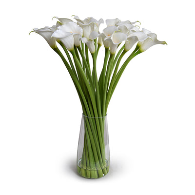 Calla Lily stems in glass, 29"H - White
