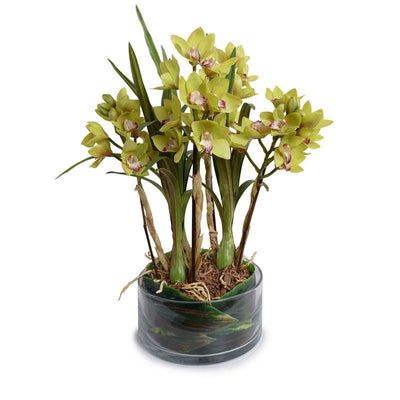 Cymbidium Orchid Leaf It - New Growth Designs