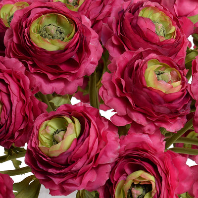 Ranunculus Bouquet in Glass - Beauty