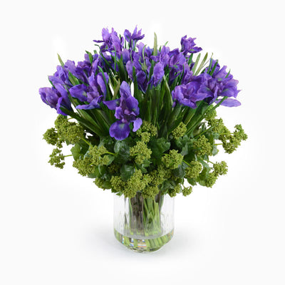 Iris, Viburnum Arrangement - New Growth Designs