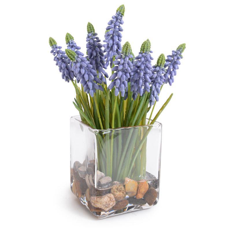 Grape Hyacinth - New Growth Designs