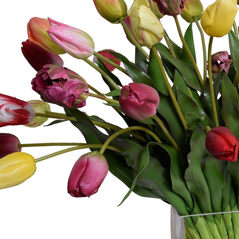 Tulip Bouquet - Mixed - New Growth Designs