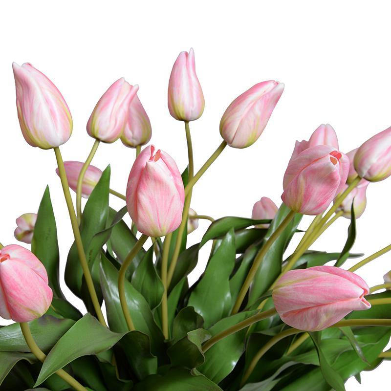 Tulip Arrangement - Pink-White - New Growth Designs