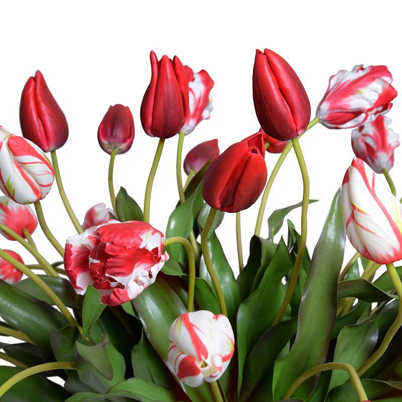 Tulip Arrangement - Red-White - New Growth Designs