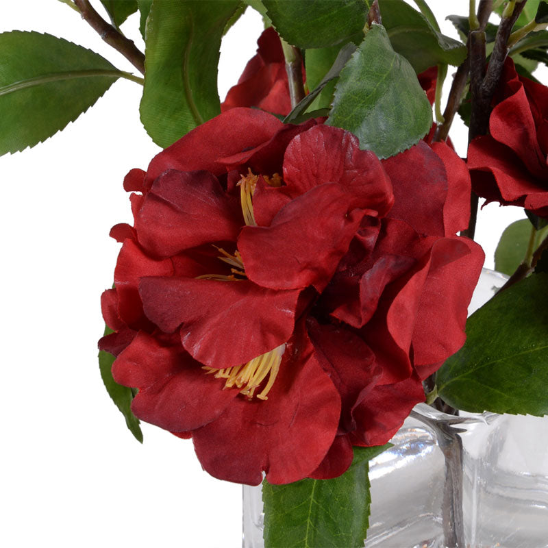 Camellia Cutting in Glass - Red