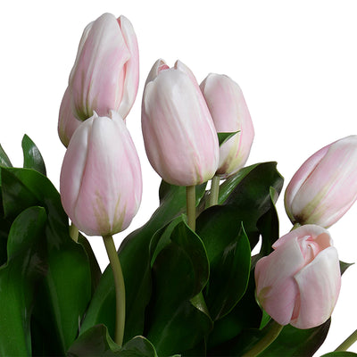 Tulip Arrangement, 17"H - Light pink