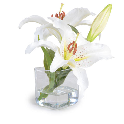 Lily Cutting in Glass 11"H
