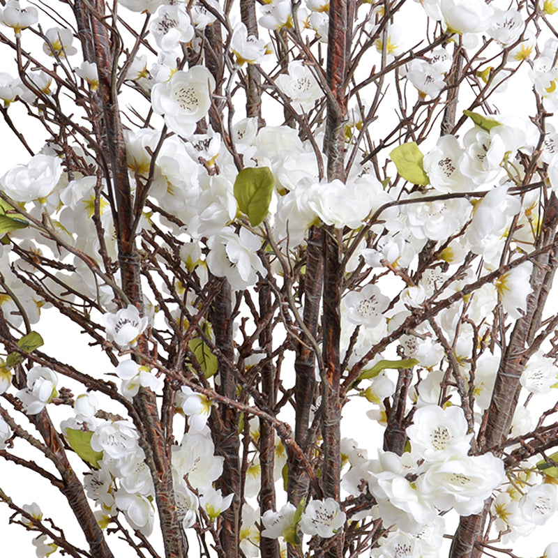Cherry Blossom Arrangement - New Growth Designs