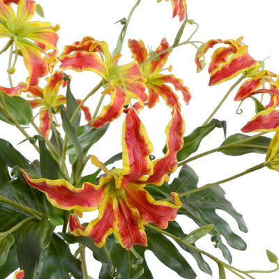 Gloriosa Lily Bouquet - Orange-Green - New Growth Designs