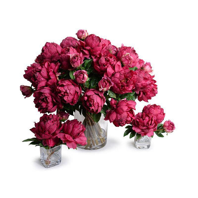 Peony Bouquet in Glass Cylinder (Large) - Fuchsia - New Growth Designs