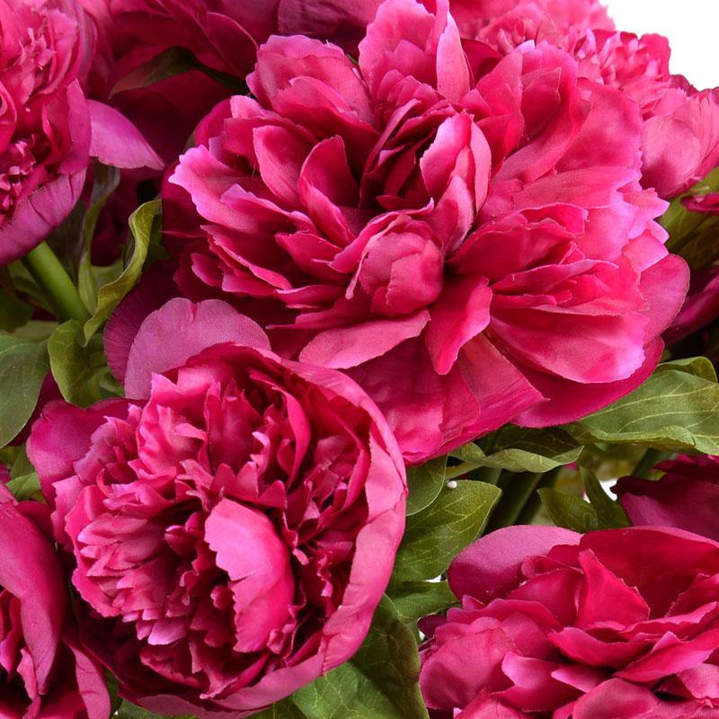 Peony Bouquet - Beauty - New Growth Designs