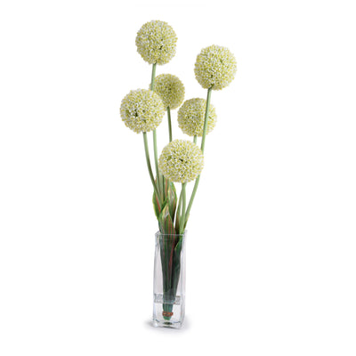 Allium in Glass Column - White - New Growth Designs