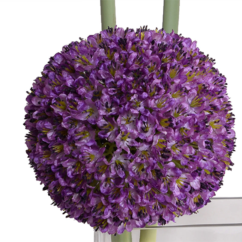 Allium in Glass Rectangle, 32"H - Purple