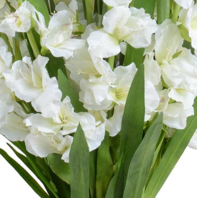 Gladiolus Arrangement in Glass - White - New Growth Designs