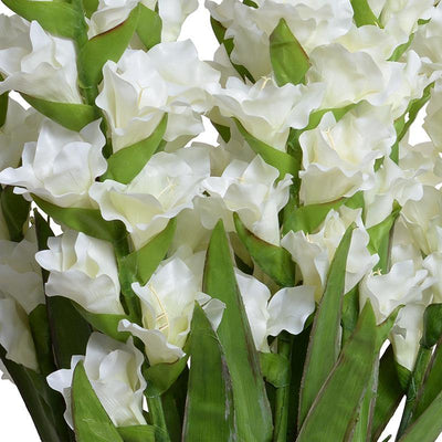 Gladiolus Arrangement in Glass - White - New Growth Designs