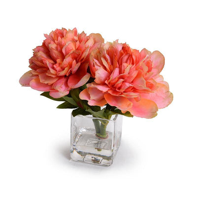Peony Cutting - Coral - New Growth Designs