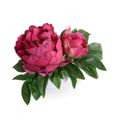Peony Cutting in Porcelain Bowl 7"H
