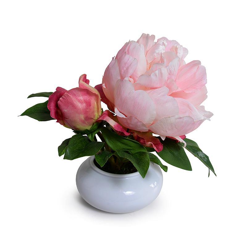 Peony Cutting in Porcelain Bowl - Pink - New Growth Designs