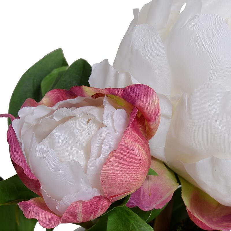 Peony Cutting in Porcelain Bowl - White - New Growth Designs
