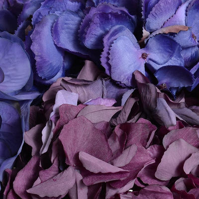 Hydrangea Arrangement - Purple-Blue - New Growth Designs