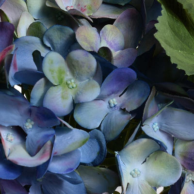 Hydrangea Cutting - Blue - New Growth Designs