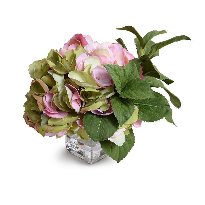 Hydrangea Cutting - Pink-Green - New Growth Designs
