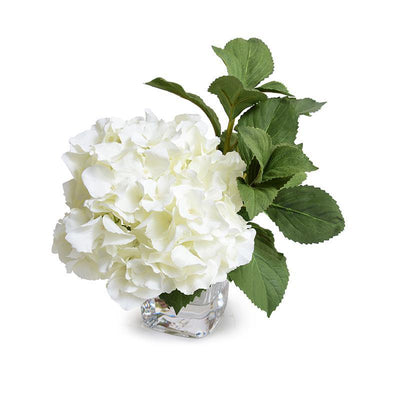 Hydrangea Cutting - White - New Growth Designs