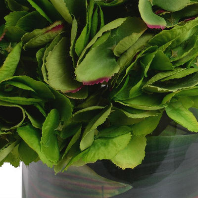 Hydrangea Arrangement - Green - New Growth Designs