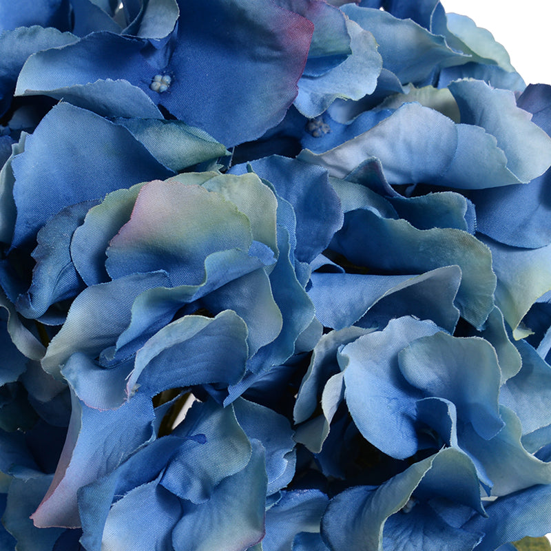 Hydrangea Cutting - Blue