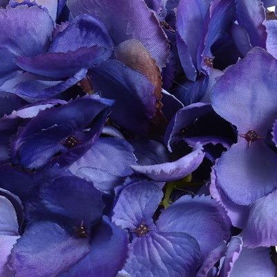 Hydrangea Cutting - Purple - New Growth Designs