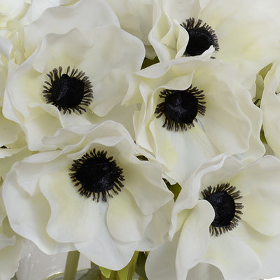 Anemone, Hydrangea Arrangement - White