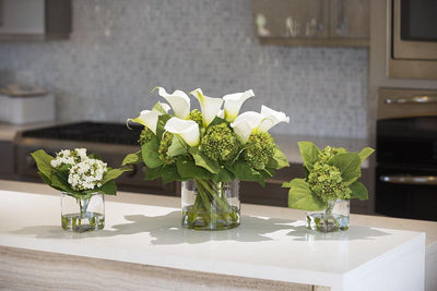 Calla Lily, Hydrangea Buds Arrangement in Glass - Mixed - New Growth Designs
