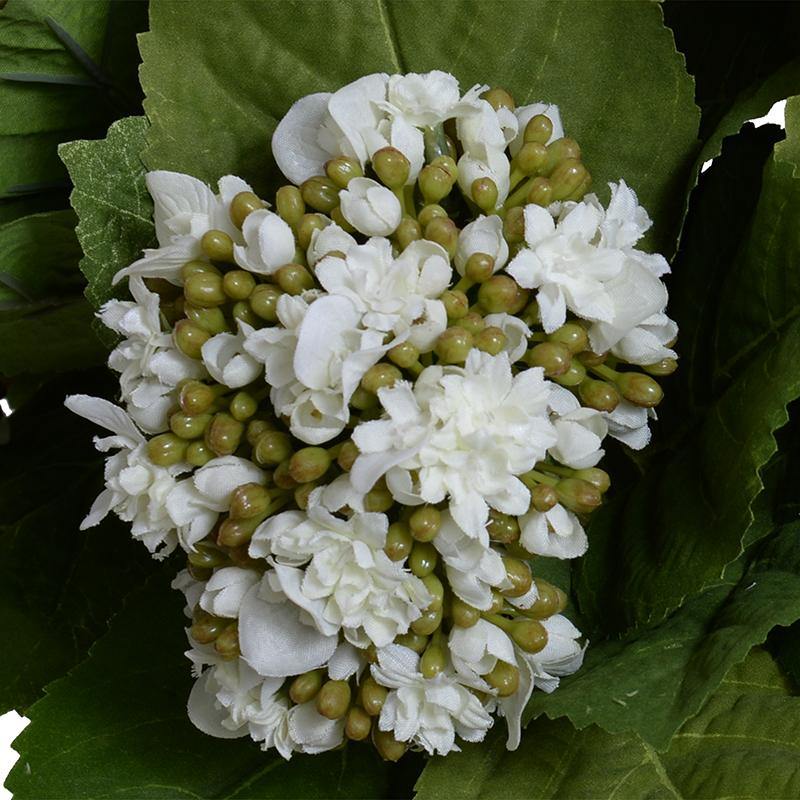 Hydrangea Bud Arrangement - Green-White - New Growth Designs