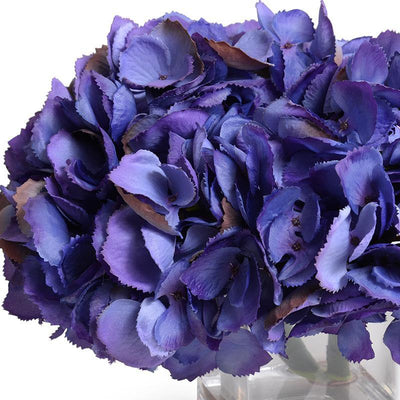Hydrangea Arrangement - Purple - New Growth Designs