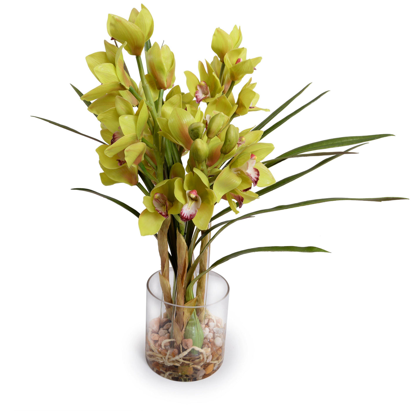 Cymbidium Orchid (Large) - Green - New Growth Designs