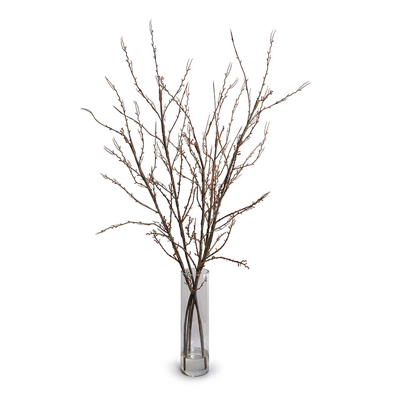 Forsythia Branches in Glass Vase 48"H