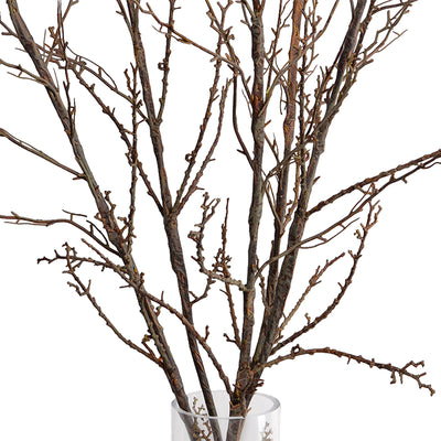 Branches in glass vase, 48"H - Brown