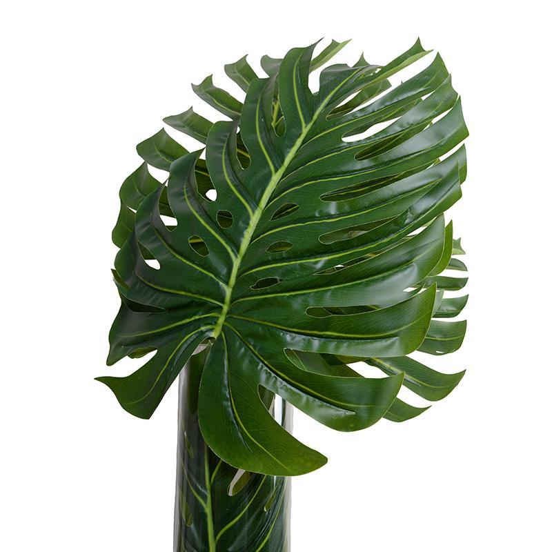 Large Monstera Leaf in Glass Cylinder - New Growth Designs