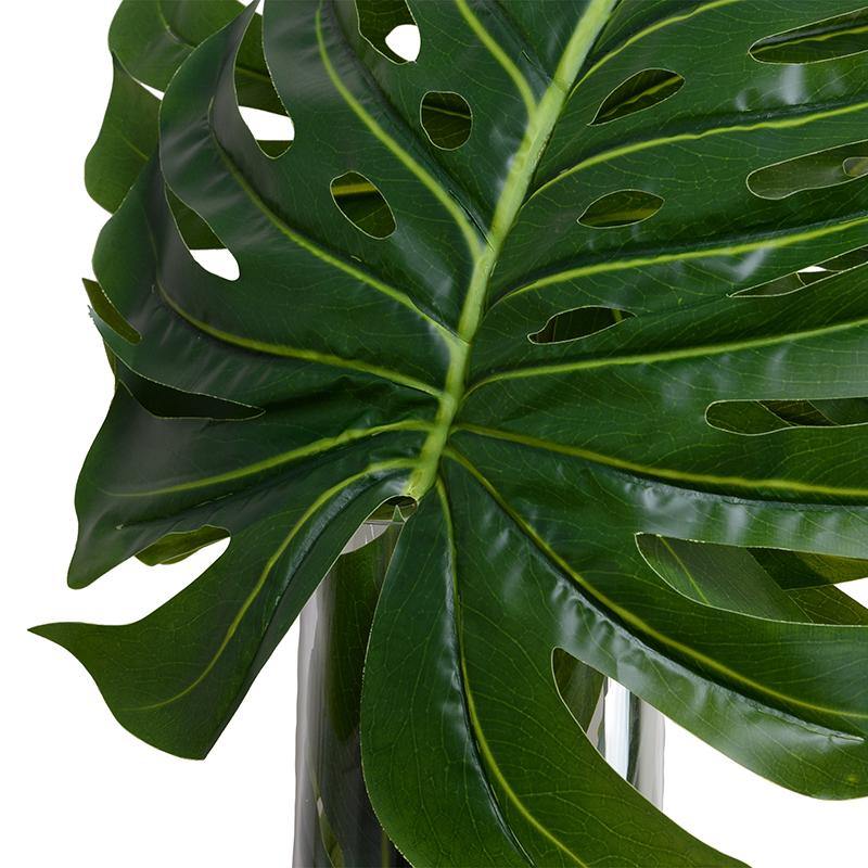 monstera deliciosa glass vase charcoal Monstera Leaves in Glass 40"H – New Growth Designs