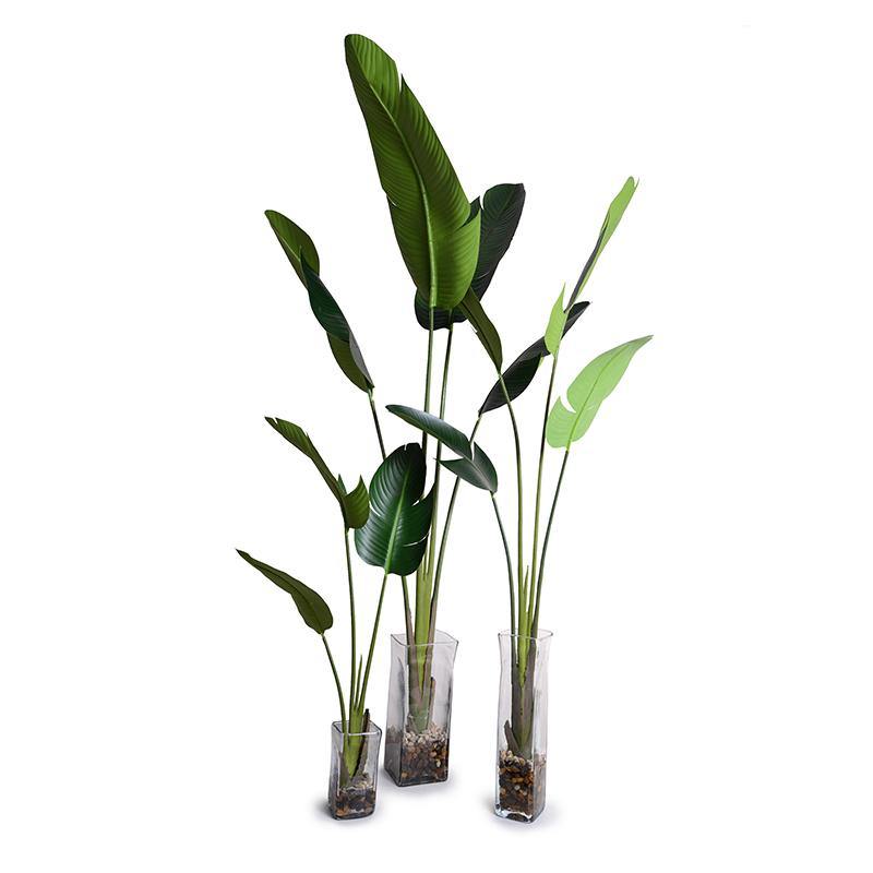 Wholesale Artificial Bird of Paradise Plants (Strelitzia) in Glass Vases Indoor 40 Inches Tall - New Growth Designs
