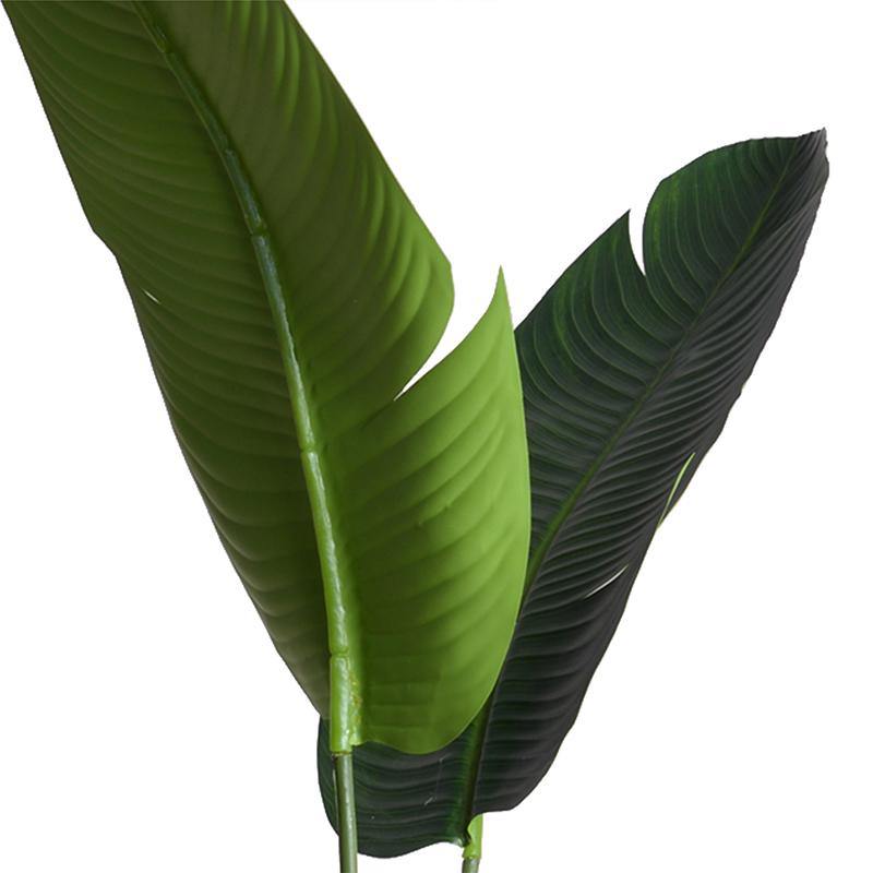 Bird of Paradise (Stretlitzia), 70"H - New Growth Designs