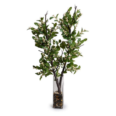 Holly Branch with Berries in Glass, 38"H - New Growth Designs