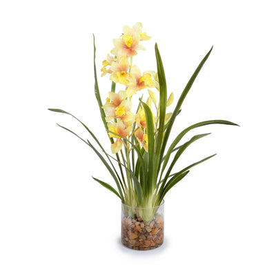 Cymbidium Orchid Vase - New Growth Designs