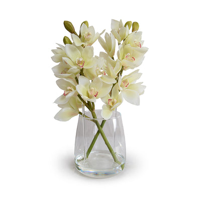 Cymbidium Orchid Arrangement - White