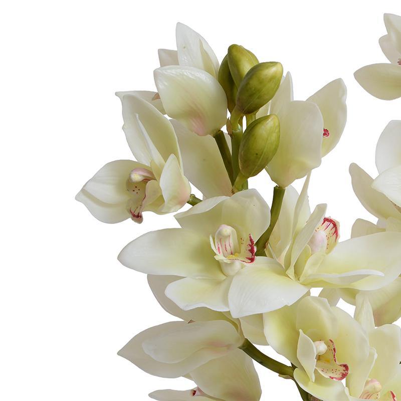 Cymbidium Orchid Arrangement - White - New Growth Designs