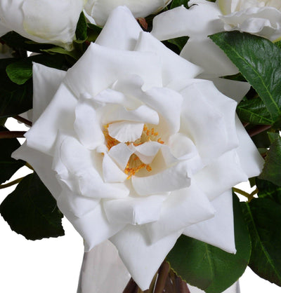 Rose, Gardenia Arrangement in Glass Vase - Mixed - New Growth Designs