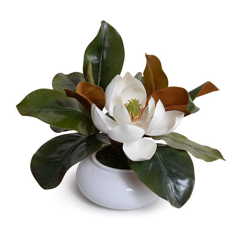 Magnolia with Bloom in Porcelain Bowl - New Growth Designs