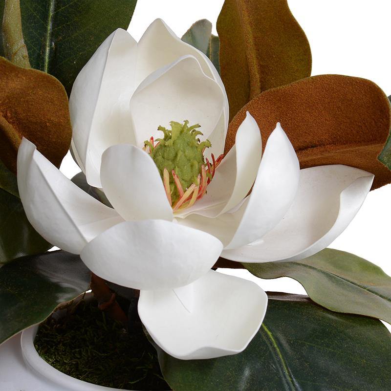Magnolia with Bloom in Porcelain Bowl - New Growth Designs