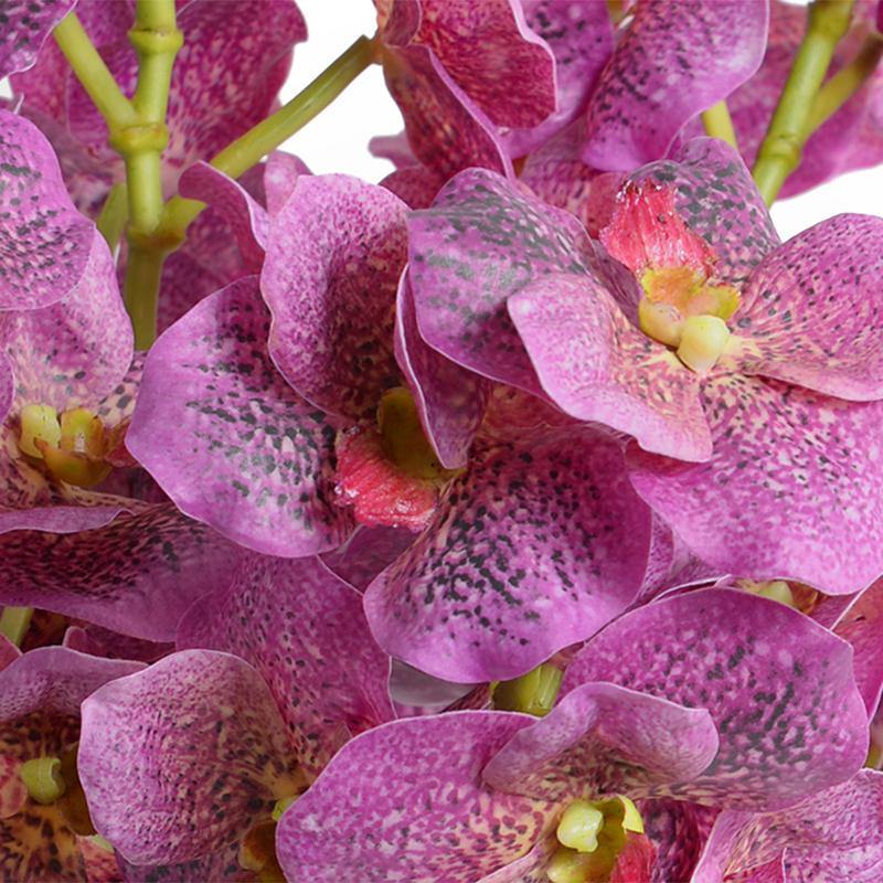 Vanda Orchids in Glass - Pink - New Growth Designs